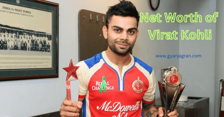 net worth of virat kohli